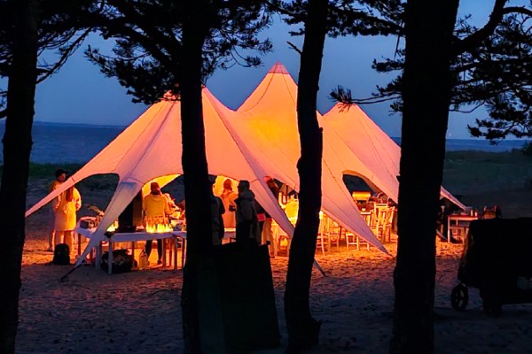 Close-up of the premium party tent fabric and structure